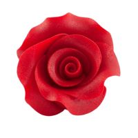 Rose groß L rot