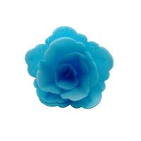 Róża waflowa, chińska, mała niebieska
