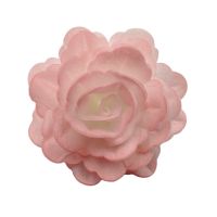 Wafer rose Chinese large pink shaded