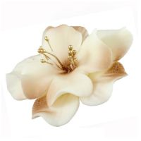 Cream-chocolate magnolia
