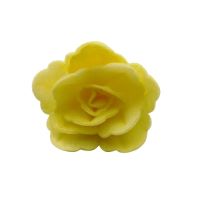 Róża waflowa chińska mała żółta