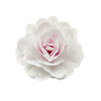 Waffelrose Chinesisch maxi rosa - 12,5 cm