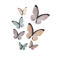 Wafelkowy motyl mix pastelowy