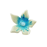 Little blue lily