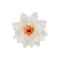 White wafer lotus flower